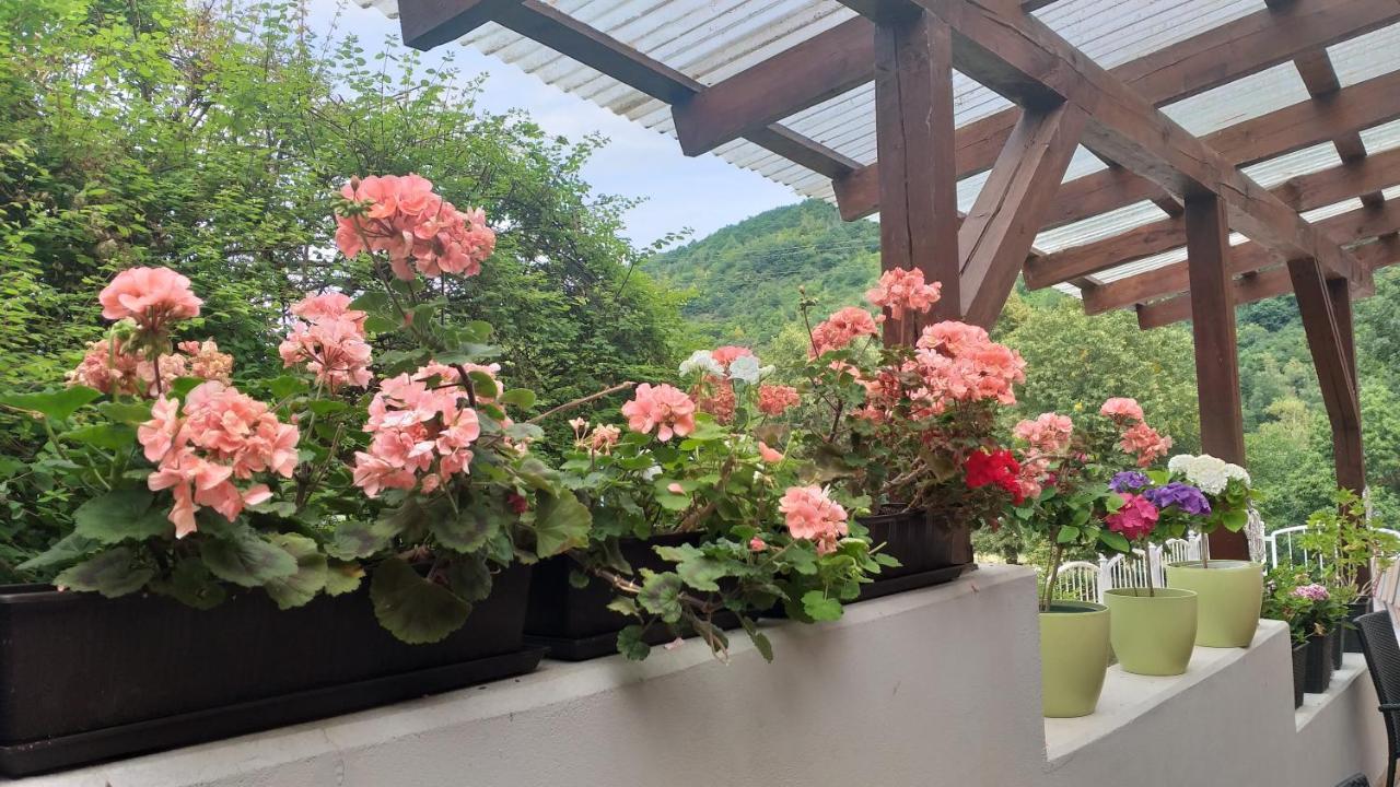 Moselina Gaestezimmer ซังก์อัลเดอกุนด์ ภายนอก รูปภาพ
