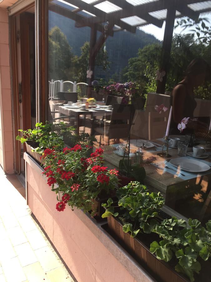 Moselina Gaestezimmer ซังก์อัลเดอกุนด์ ภายนอก รูปภาพ